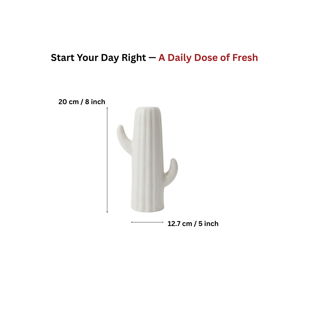 White Nordic Minimalist Ceramic Vase Set | Donut, Bubble &amp; Cactus | Set of 3